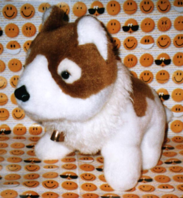 w_dec3.jpg (111865 bytes)